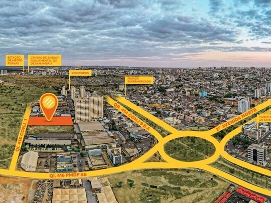 Foto de Vida Samambaia