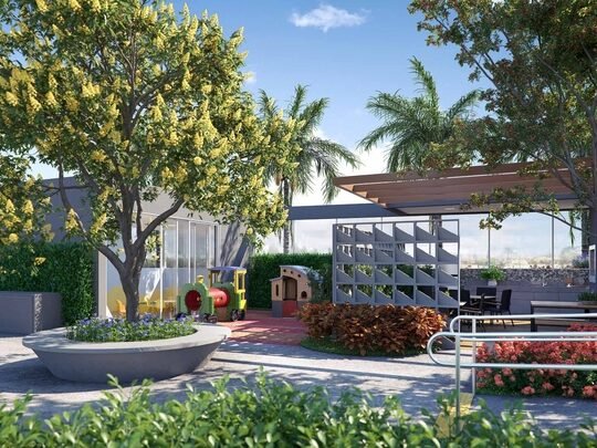 Foto de Vida Samambaia